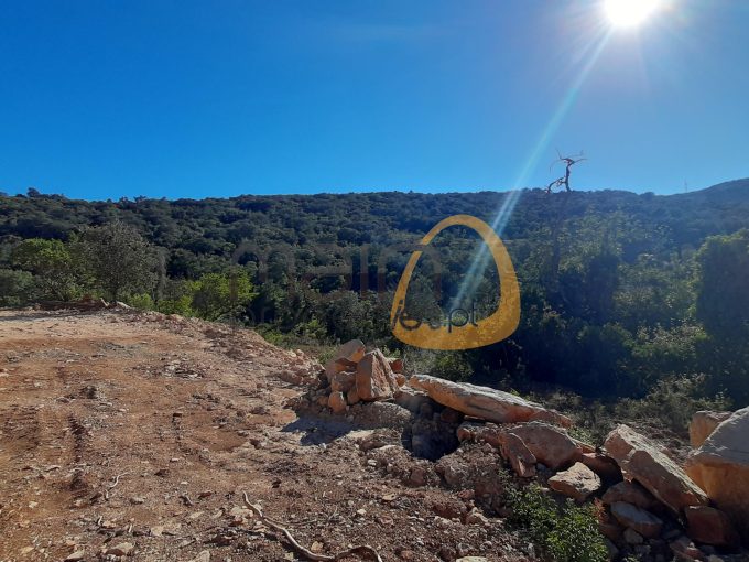 MainProperties :: Terreno misto com vista serra na Goldra de Cima em Santa Bárbara de Nexe :: MR098
