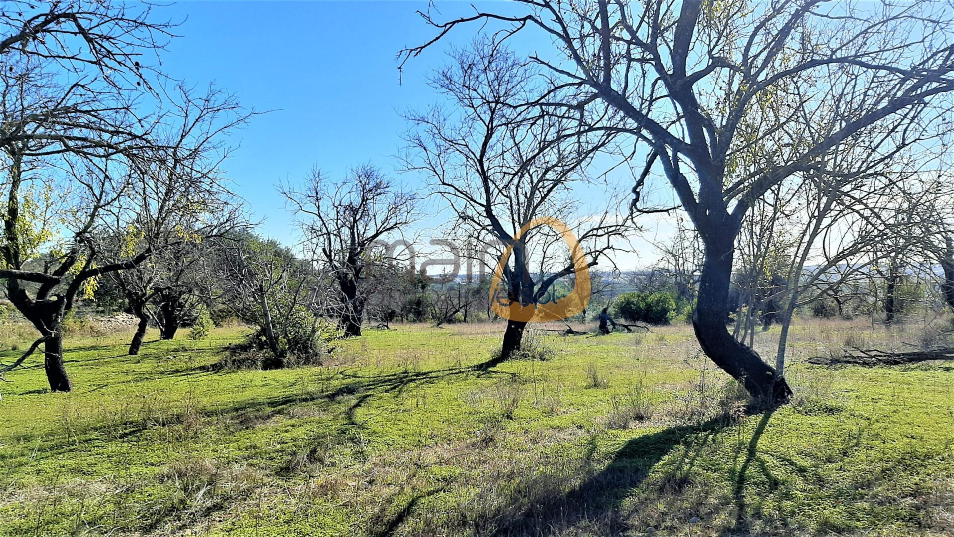 Plot of land with 2 houses to recover on the outskirts of Faro