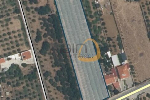 land-with-permission-for-two-houses-near-estoi-algarve-portugal-mainproperties-11
